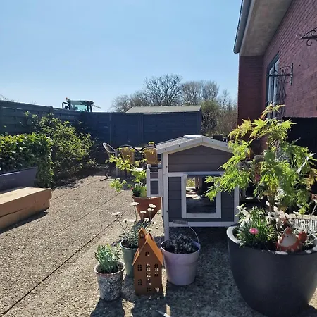 Apartment Haus-albertsdorf-am-dorfteich-|-wohnung-3-nord *