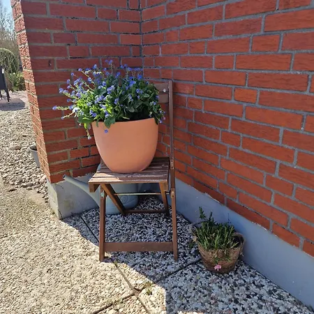 Haus-albertsdorf-am-dorfteich-|-wohnung-3-nord *