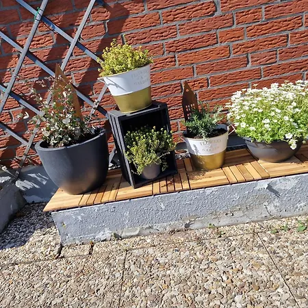 Apartment Haus-albertsdorf-am-dorfteich-|-wohnung-3-nord *