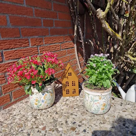Haus-albertsdorf-am-dorfteich-|-wohnung-3-nord Apartment *