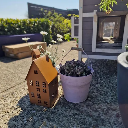 Haus-fehmarn-am-dorfteich-|-wohnung-3-nord *