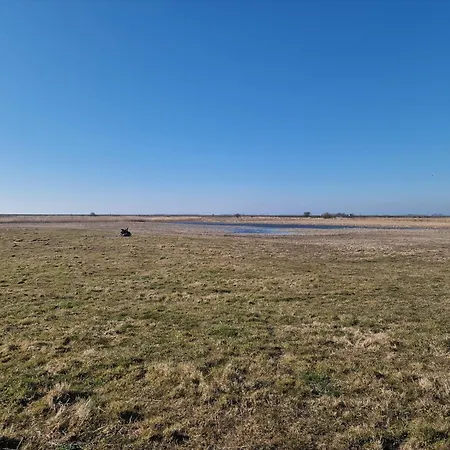 شقة Haus-fehmarn-am-dorfteich-|-wohnung-3-nord