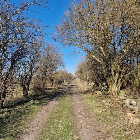 Haus-fehmarn-am-dorfteich-|-wohnung-3-nord