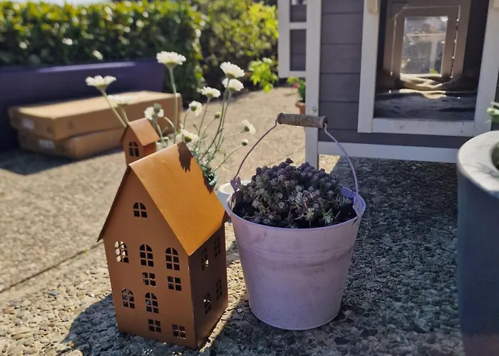 Haus-fehmarn-am-dorfteich-|-wohnung-3-nord *