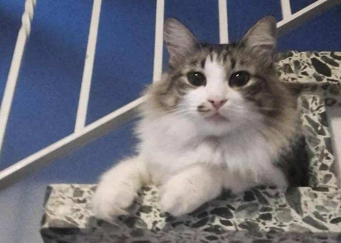 Lägenhet Haus-fehmarn-am-dorfteich-|-wohnung-3-nord Fehmarn