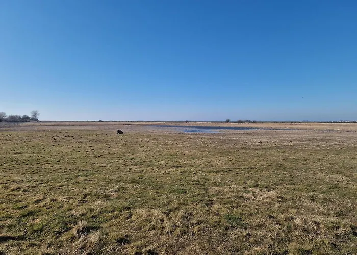 Lägenhet Haus-fehmarn-am-dorfteich-|-wohnung-3-nord