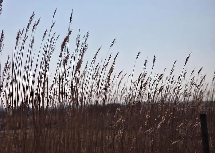 Haus-fehmarn-am-dorfteich-|-wohnung-3-nord Lägenhet *