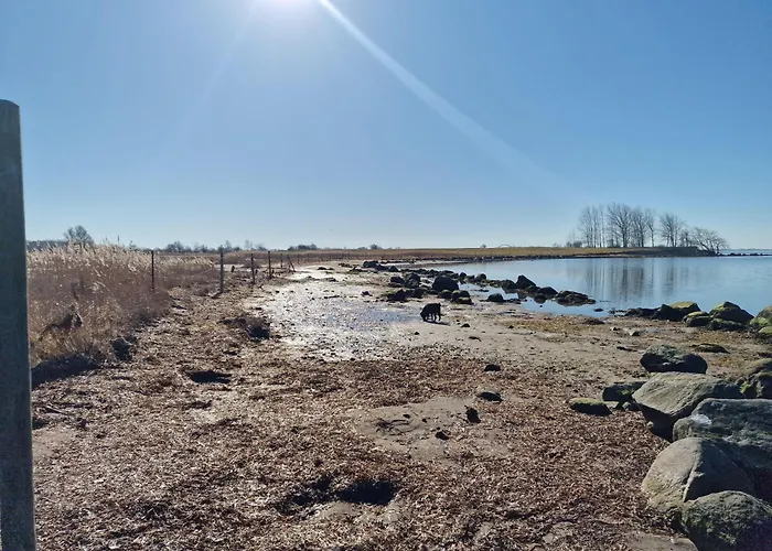 Lägenhet Haus-fehmarn-am-dorfteich-|-wohnung-3-nord