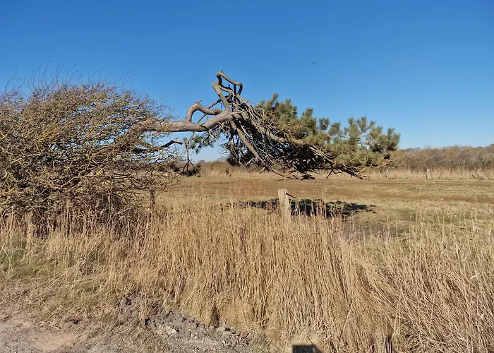 Haus-fehmarn-am-dorfteich-|-wohnung-3-nord * Fehmarn