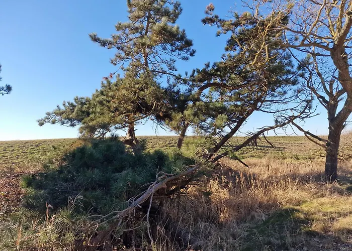 Haus-fehmarn-am-dorfteich-|-wohnung-3-nord Lägenhet Fehmarn