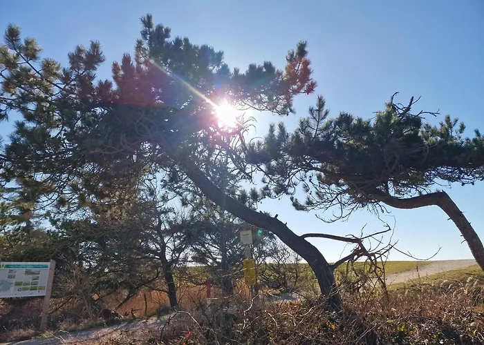 Lägenhet Haus-fehmarn-am-dorfteich-|-wohnung-3-nord