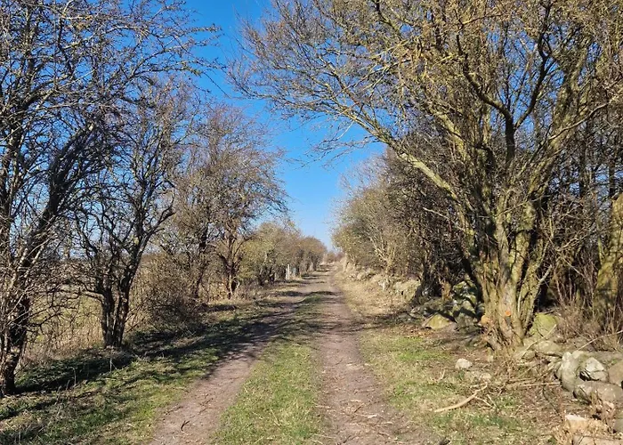 Haus-fehmarn-am-dorfteich-|-wohnung-3-nord